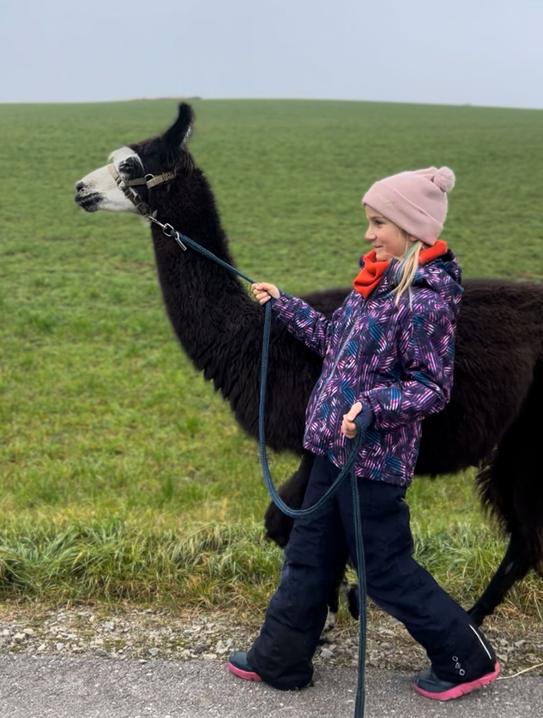 Excursión con llama