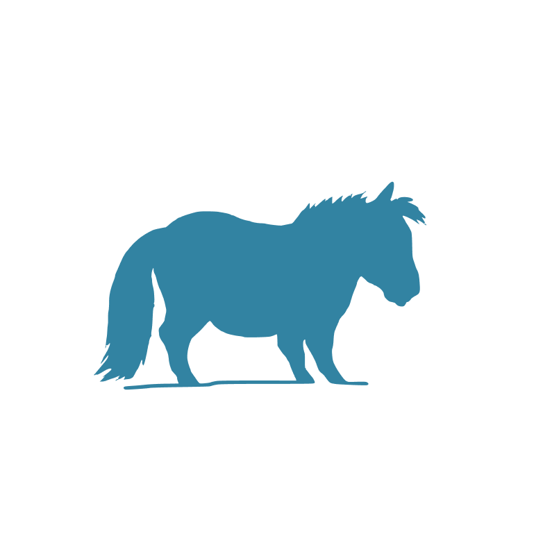 MiniPony