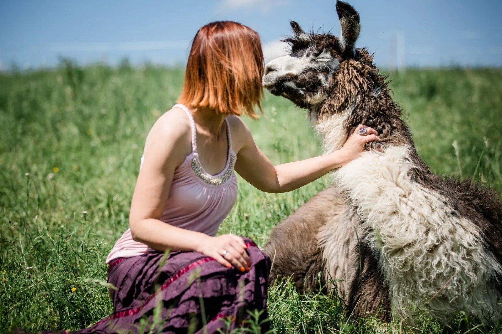 WhatsApp Imagen 2025 11 24 en 16.29.04