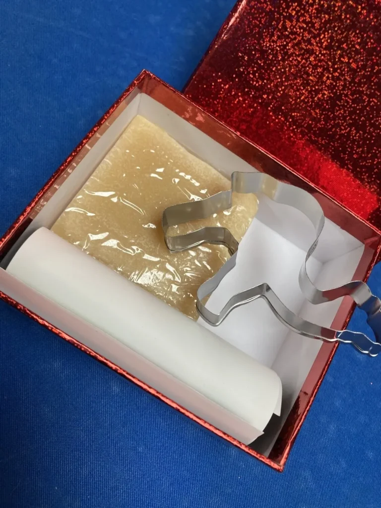 Experiencia box camello llama oasis